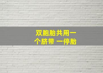 双胞胎共用一个脐带 一停胎